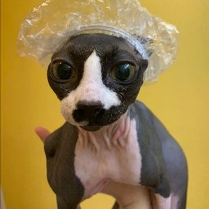 Meet your Posher, Marques